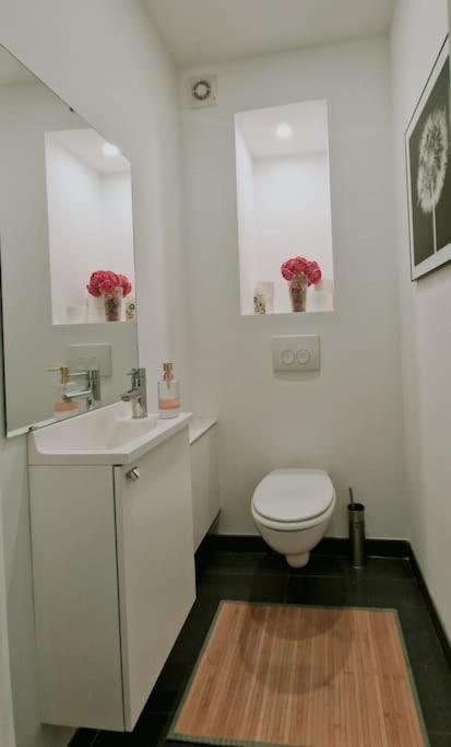 Le Cocon Du Midi - Appartement Cosy Bruxelles Extérieur photo